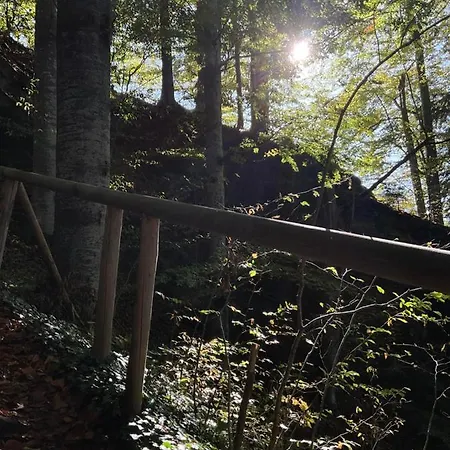 Auszeit Bergsicht Daire