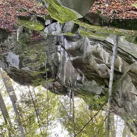 Auszeit Bergsicht Daire Fischen im Allgaeu