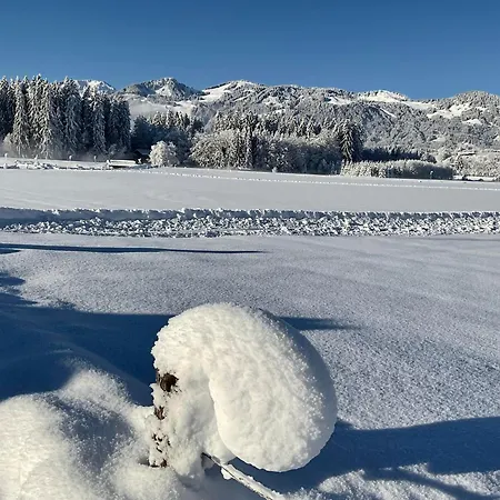 Auszeit Bergsicht Fischen im Allgaeu